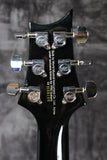 2008 Paul Reed Smith SE Custom 22