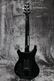 2008 Paul Reed Smith SE Custom 22