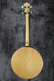 Gold Tone CC-IT Tenor Banjo