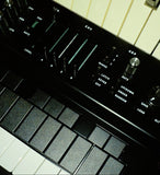 LM-IMAGE-142486428-