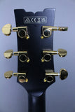 2025 Ibanez JSM20 BKL John Scofield Black