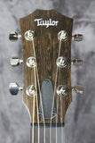 Taylor GT Urban Ash