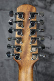 Walden Natura D552E 12-String