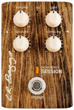 LR Baggs Align Series Session *Free Shipping in the USA*