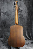 Walden Natura D552E 12-String