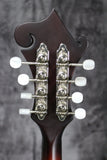 The Loar LM-310F-E Mandolin